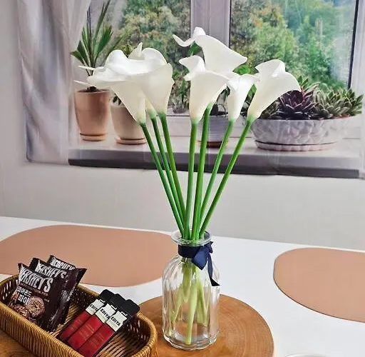 Apartamento Oasis